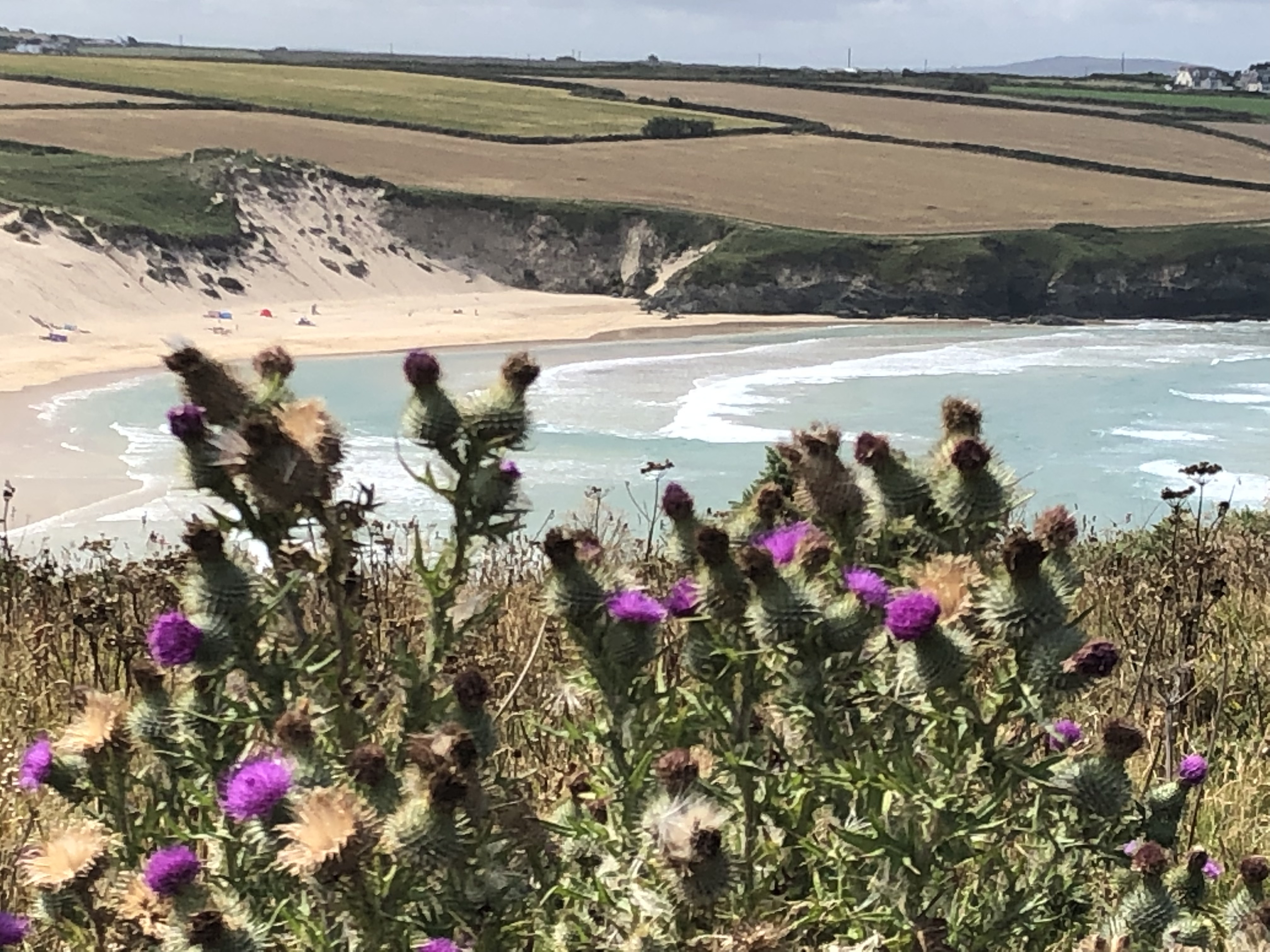 Shores of Cornwall